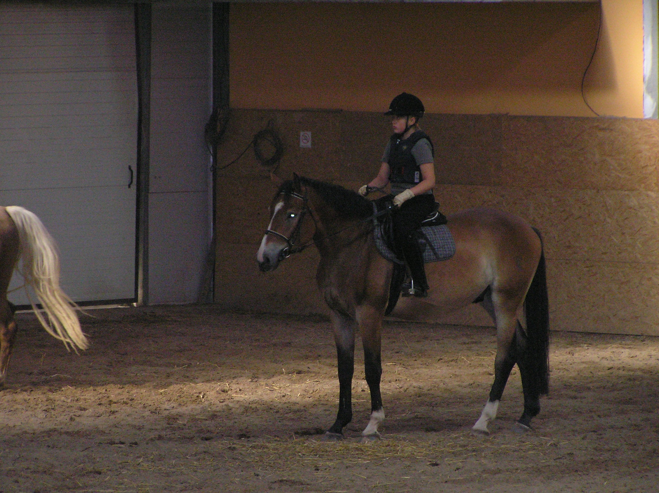 jízdárna 05 019.jpg